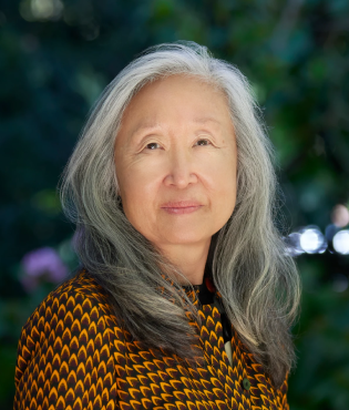 V. Fei Tsen