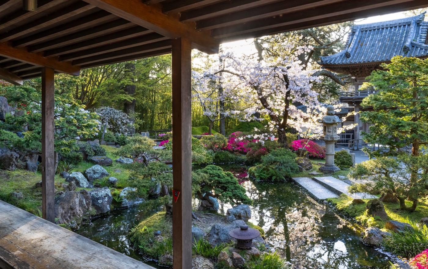 Image for: Refreshments and Treats at the Tea House